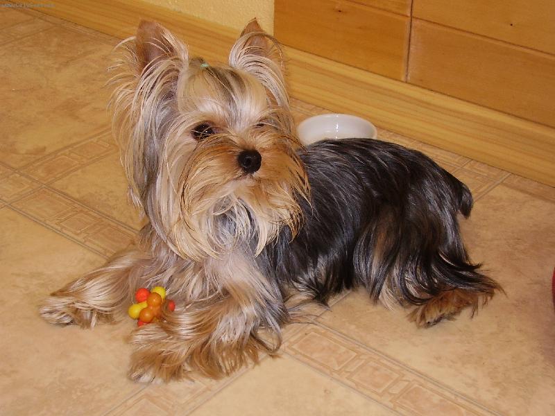 Foto: Jolly