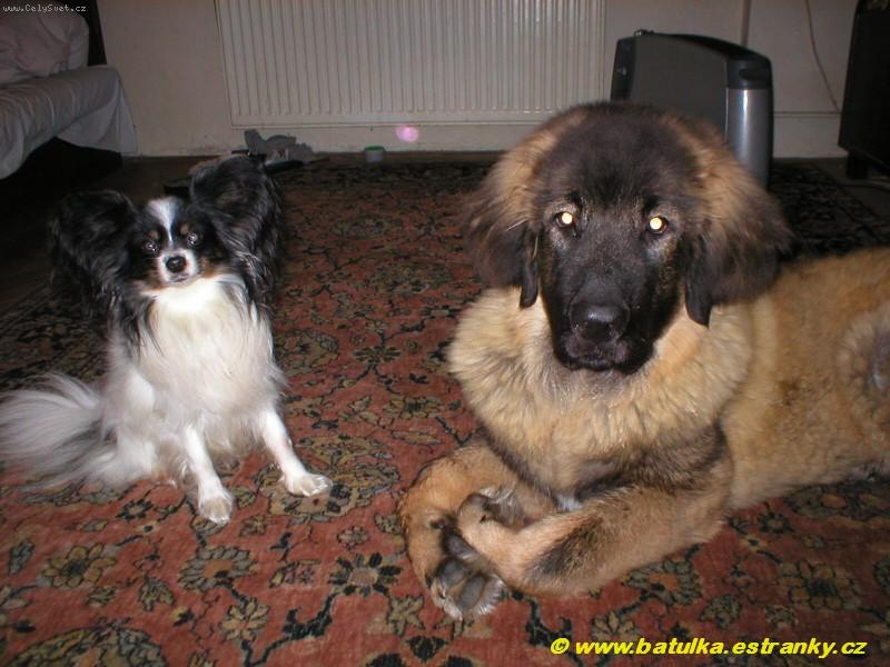 Foto: Gerry a Agbar