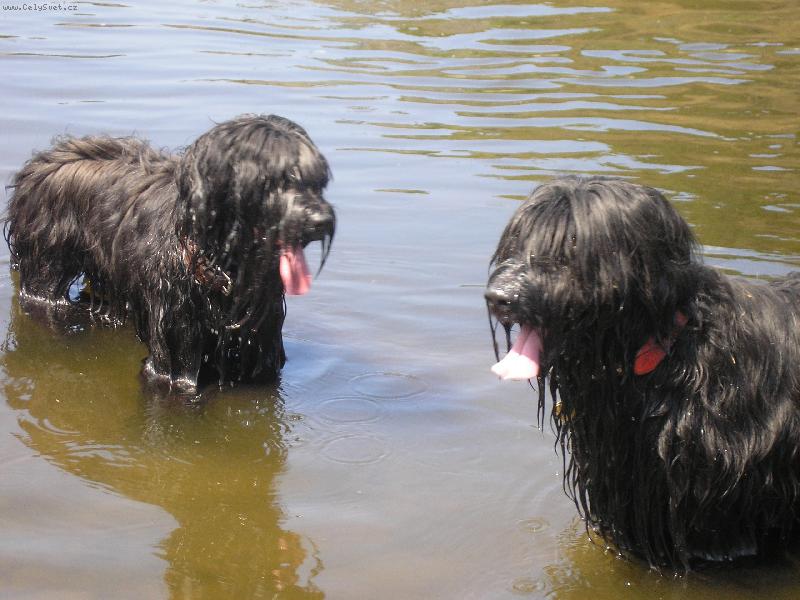 Foto: Voda-Rocky a Eimi