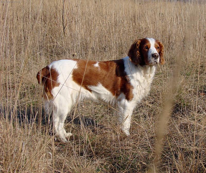 Foto: poln� pr�ce