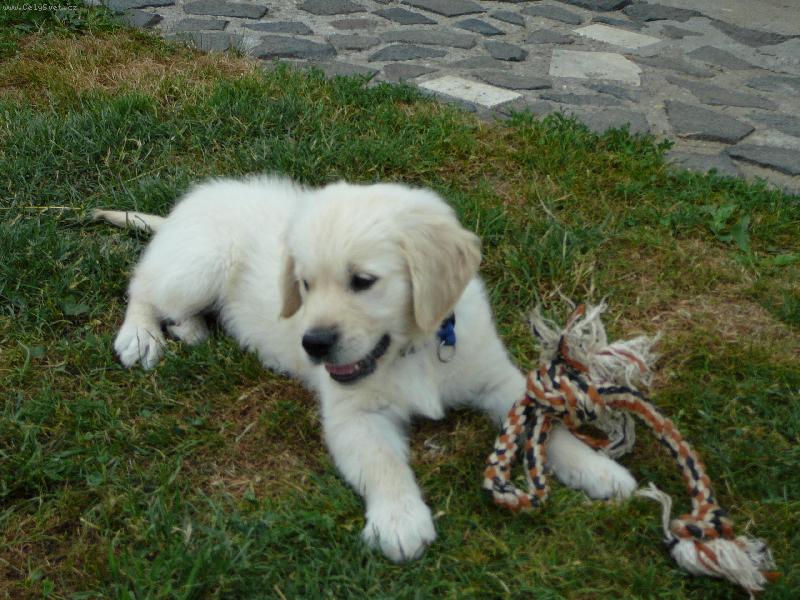 Foto: Baddy