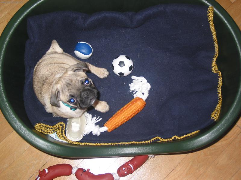 Foto: Anu�ka-moje mil� Anu�ka