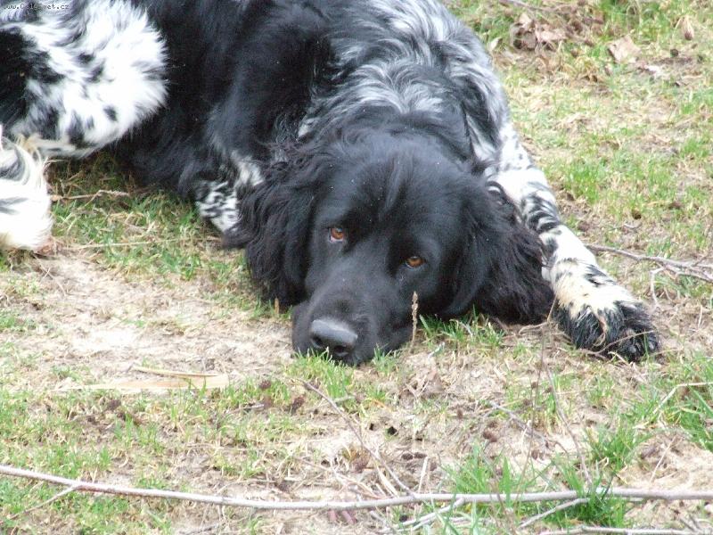 Foto: Kim od Star� vsi