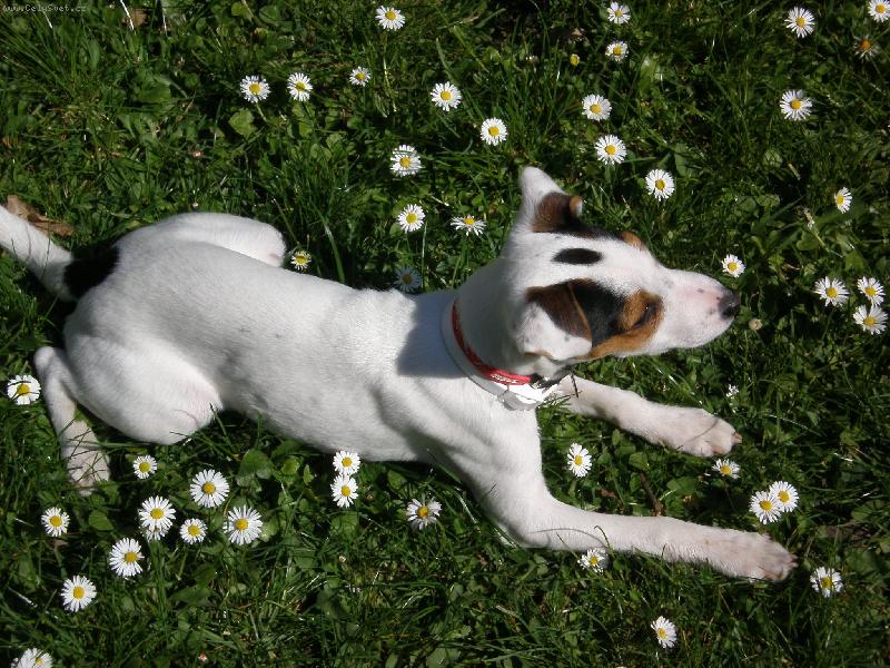 Foto: Agnes-s kyti�kami