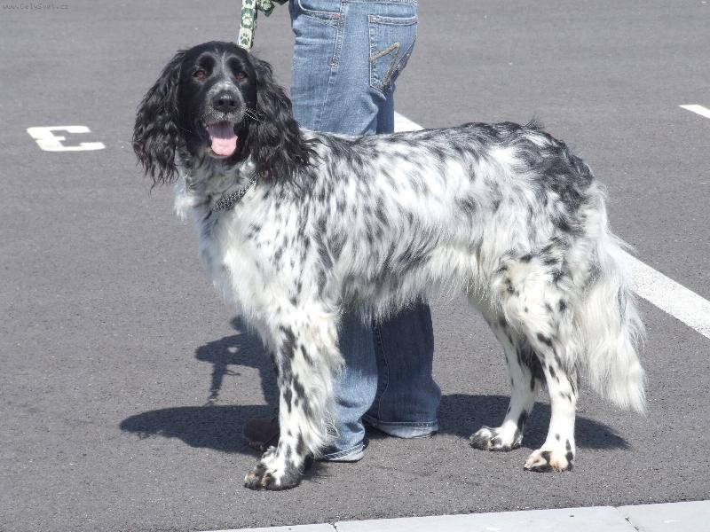 Foto: Hela od Star� vsi