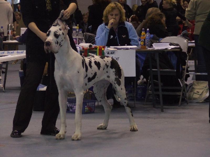 Foto: Billy Jean Quincy Etc.