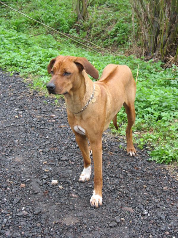 Foto: Jessi po z�vodech