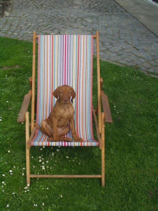 Foto: Pohoda na chat�