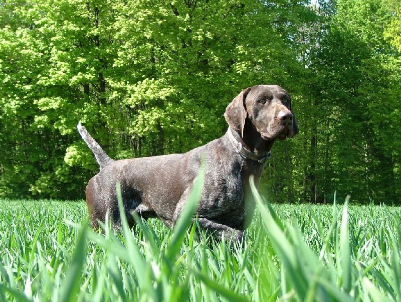 Foto: Bond ze �t�pek-vystavov�n�