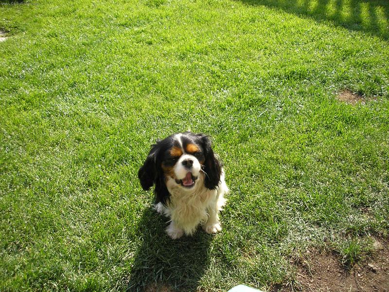 Foto: hej-super!!!!!!!!!!!!