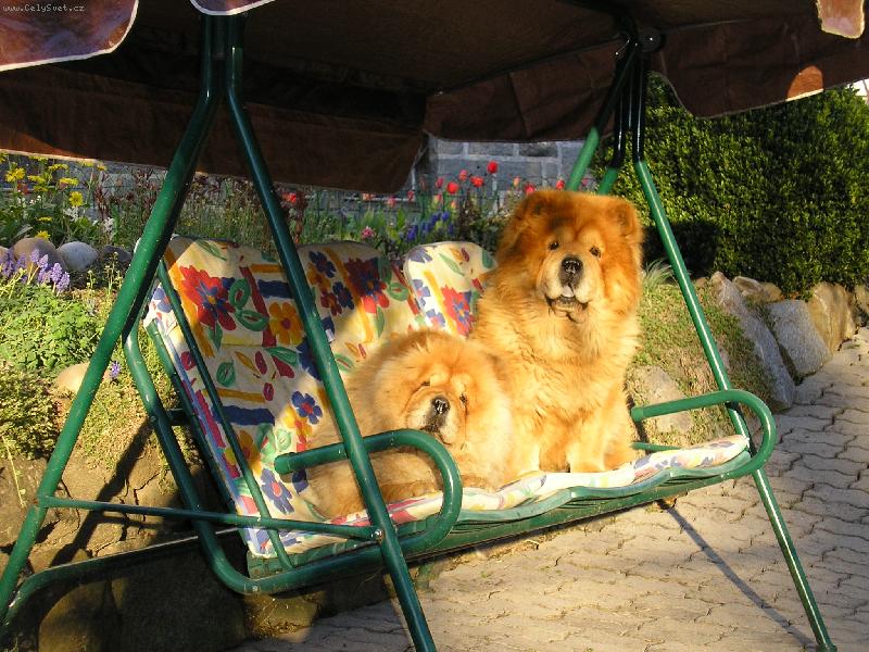 Foto: odpoledn� siesta