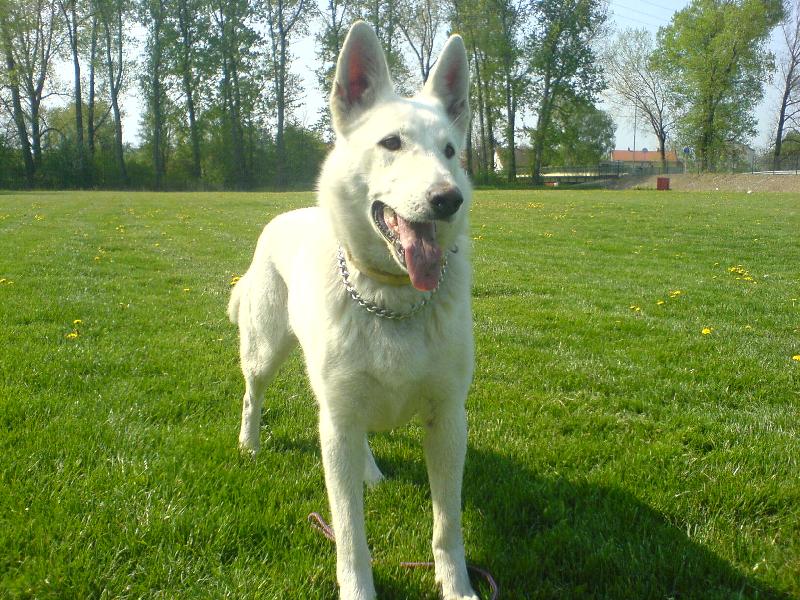 Foto: na cvi��ku