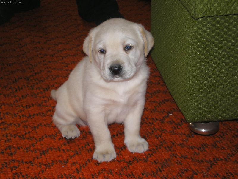 Foto: Nio-n� mil��ek