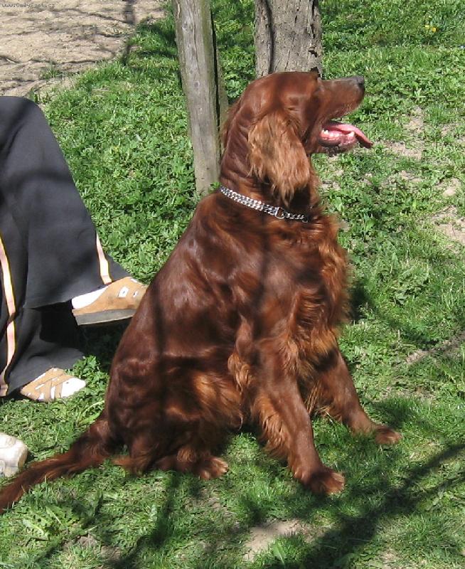 Foto: Max na zahrad�