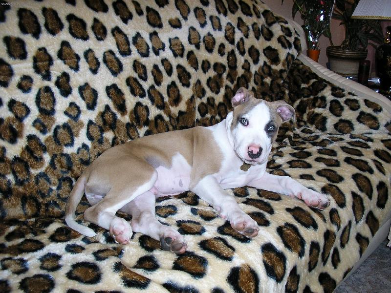 Foto: jsem gau�kultur�k