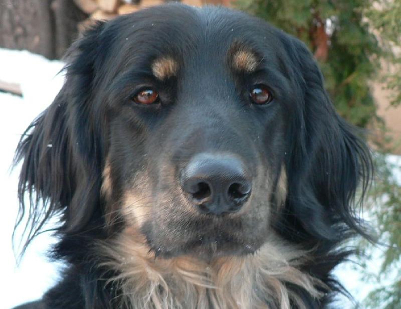 Foto: Feronka-kuk :o))