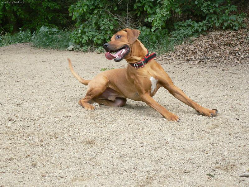 Foto: Jde se dov�d�t