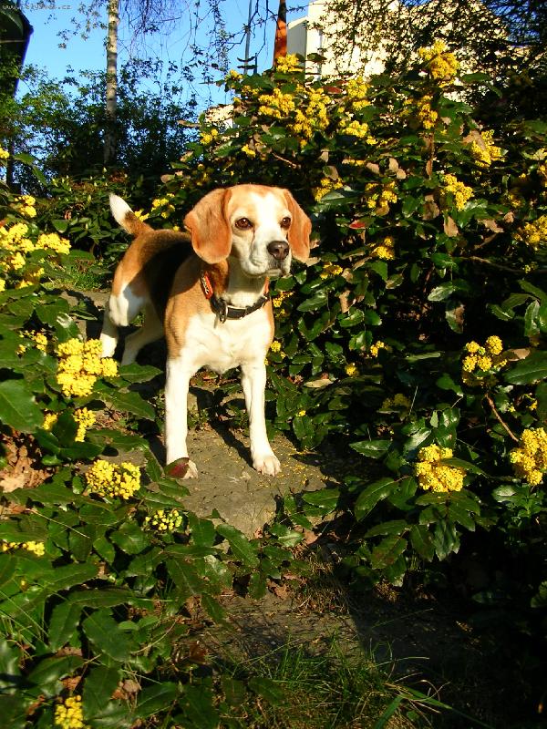 Foto: Berkies (Pussy Tergy)