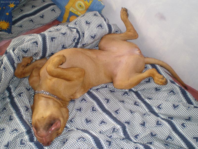 Foto: Sherry-haj���