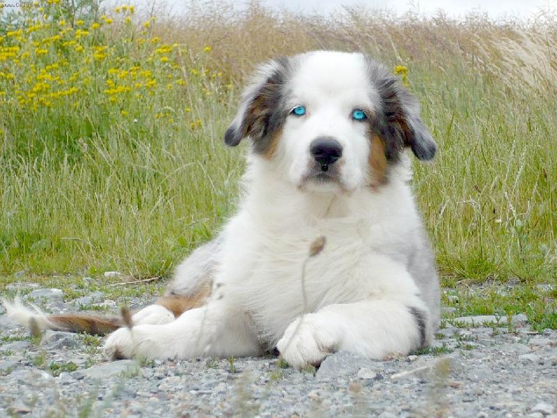 Foto: p��mo-do o��