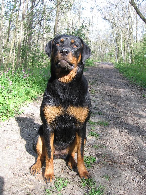 Foto: Paris-Pariska po koup�n�