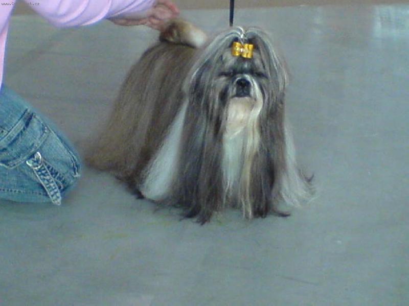 Foto: CH.Jeron Atrei-MVP Bratislava 2007