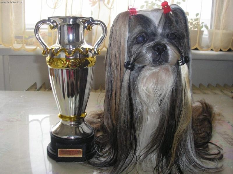 Foto: CH.Jeron Atrei