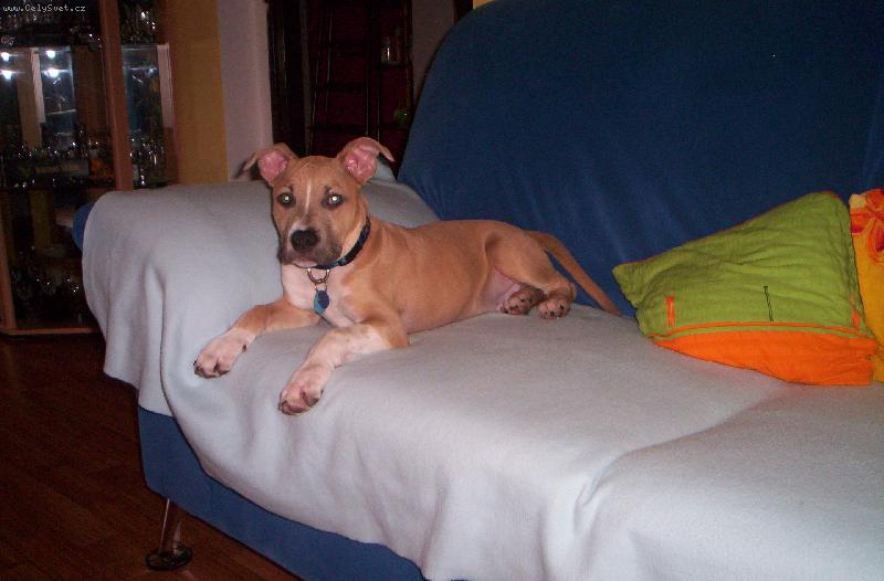 Foto: arny-odpo��v�m