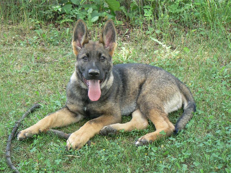 Foto: Cetynka-3,5 m�s�ce