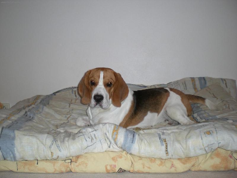 Foto: benji