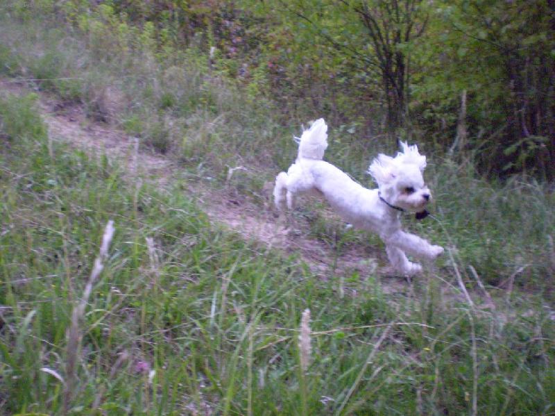 Foto: V akci-Monty