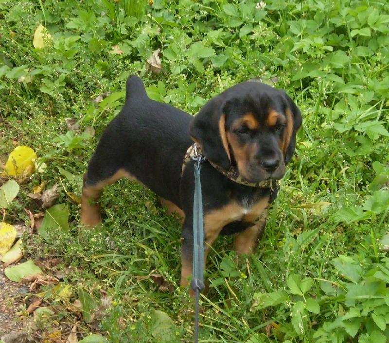 Foto: benji-benji