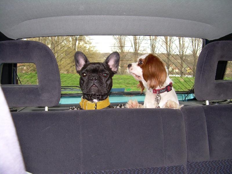 Foto: Ka�enka a Bela