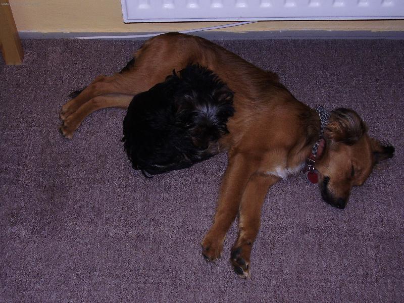 Foto: sandy