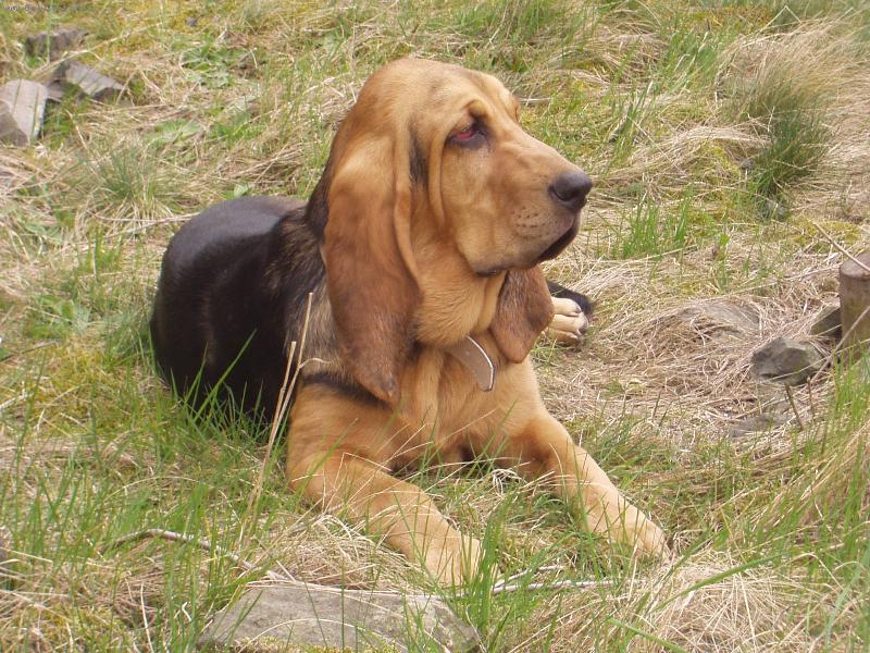 Foto: Na v�let�-Blair Iseb