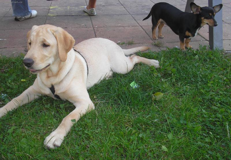 Foto: Amy a Brita-:))