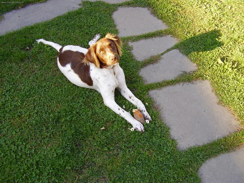 Foto: Sofij�nka-Okusuji v�e, co se d�!