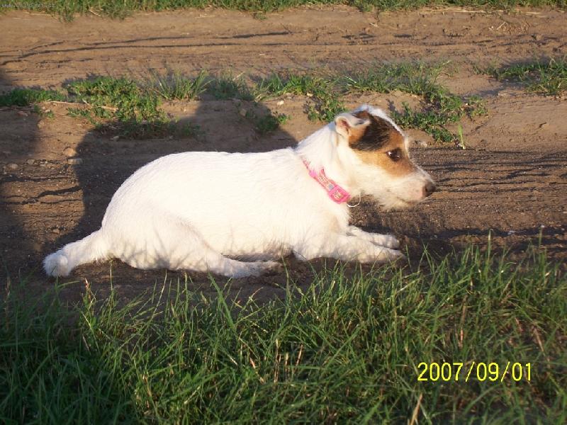 Foto: Wabira Drapichrust-Na ��han�