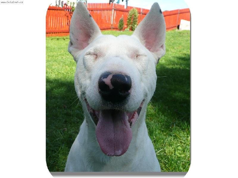 Foto: Danny a jeho ucul :)