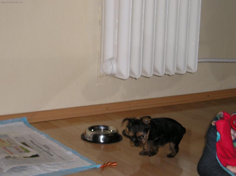 Foto: velk� krmen�