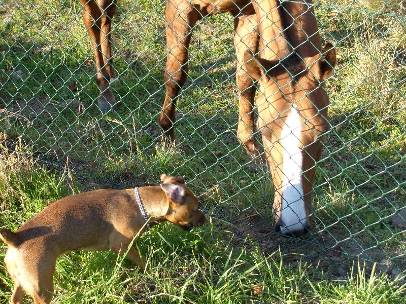 Foto: J� a ko�ist- bria