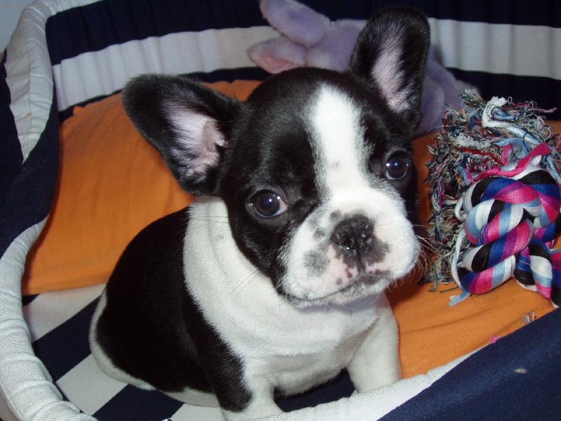 Foto: Bonny