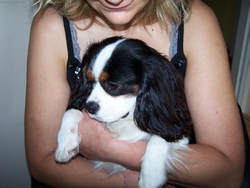 Foto: Lucky se chov�