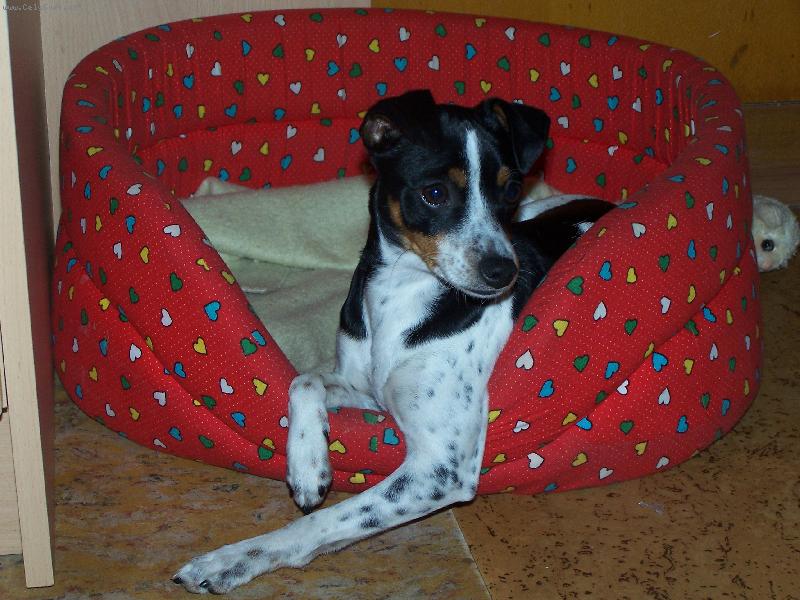 Foto: N�e B�lla