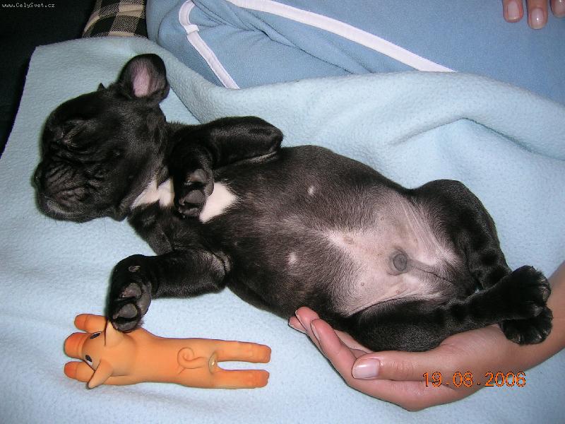 Foto: Sp�c� Jazz