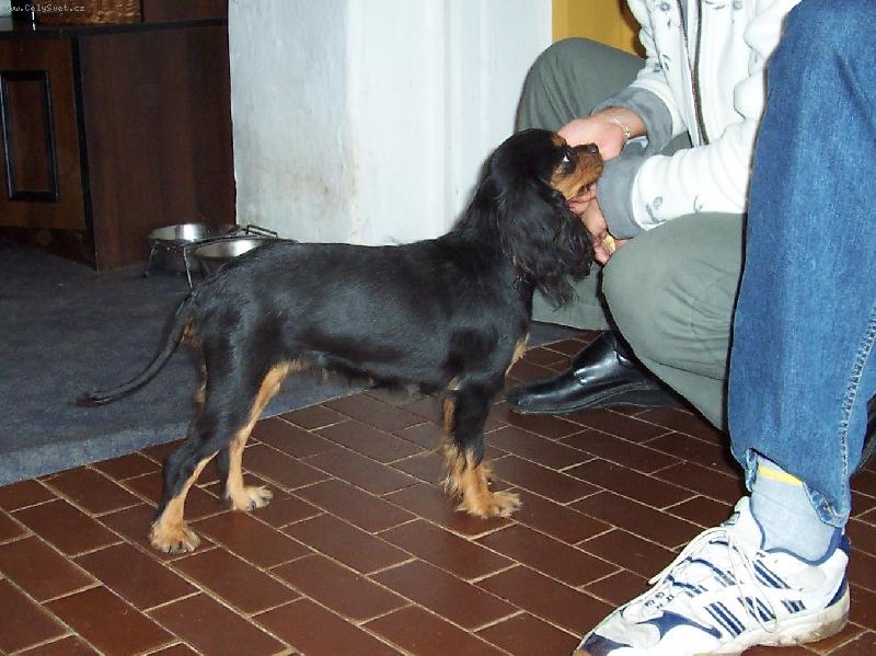 Foto: 