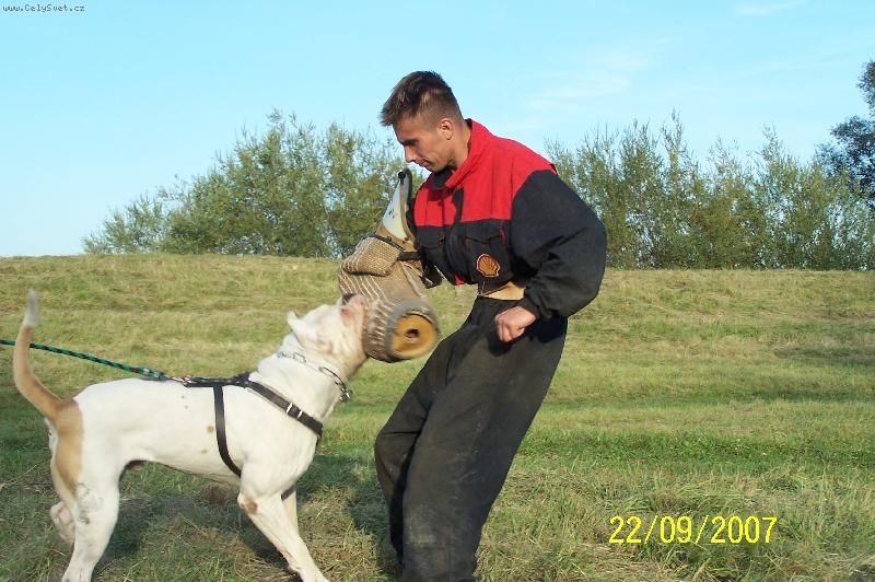 Foto: Jasir Igor-Obrany jaro 2007