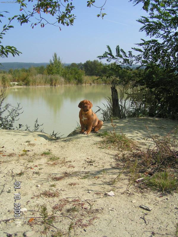 Foto: Mortimor �t���tko-Mortimorek