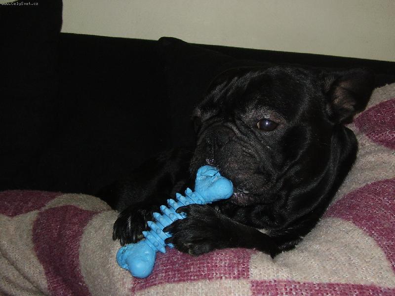 Foto: V�no�n� d�re�ek