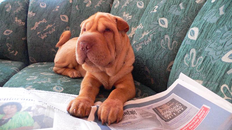 Foto: Oliver